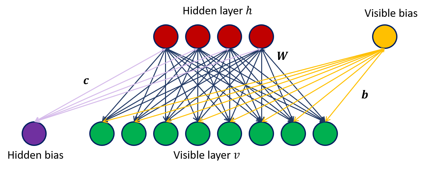 <b>Figure 1</b>. Schematic representation of a restricted Boltzmann machine. All the units in the visible layer $v$ (green) are fully connected with the hidden layer $h$ (red). No hidden-hidden or visible-visible connections are allowed (hence the term <i>restricted</i>). The connections are represented by the weight matrix $W$ (blue arrows). Each layer also has a bias unit $b$ (visible layer, yellow arrows) and $c$ (hidden layer, purple arrows).